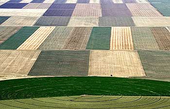 Agriculture Aerial Photos