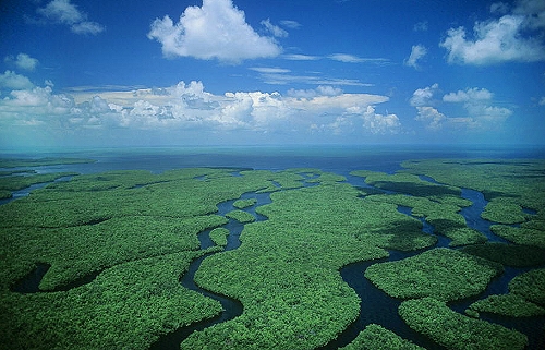 Aerial photo of Everglades National Park, FL Aerial photo of Everglades National Park, Monroe County, Florida, FL United States