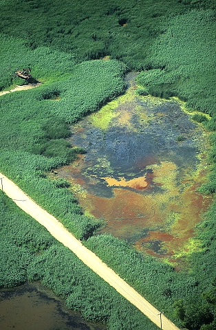 Aerial photo of Oil Polluted Wetland, Henderson County, Kentucky, KY &nbsp;United States