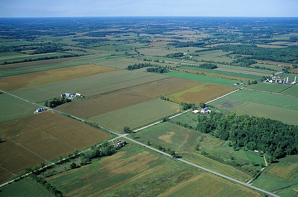 farmland