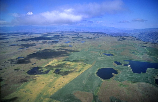 washington columbia plateau