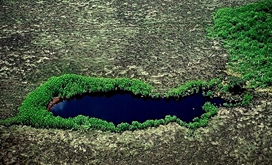 Sinkholes on Aerial Photo Of Sinkhole Lake Florida Fl United States