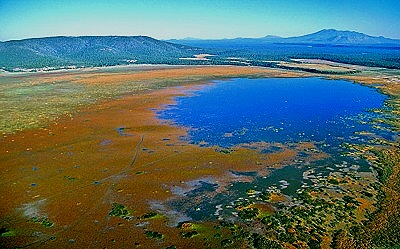 Mormon Lake Az >> Airphoto Aerial Picture Of Mormon Lake Coconino County Arizona Mormon Lake Az >> Airphoto Aerial Picture Of Mormon Lake Coconino County Arizona