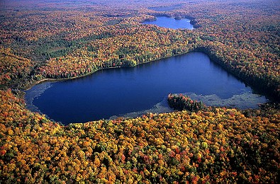 Bass Lake Michigan