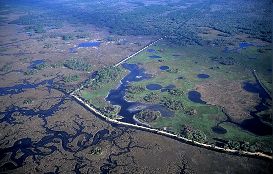 Aerial photo of Apalachee Bay Wetland, FL Aerial photo of Apalachee Bay Wetland, Taylor County, Florida, FL United States