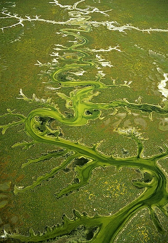 Aerial photo of Alien Presence, CA Aerial photo of Alien Presence, San Luis Obispo County, California, CA United States