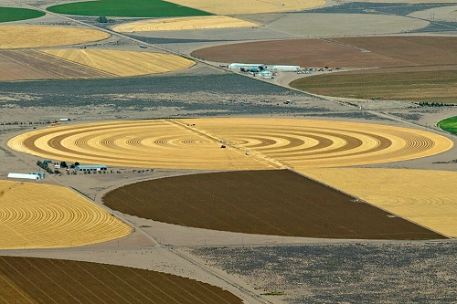16600.jpg