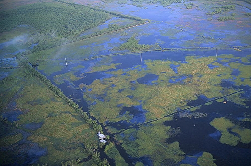 Aerial photo of Swamp Oil Slick, LA Aerial photo of Swamp Oil Slick, Terrebonne Parish, Louisiana, LA United States