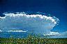 39: Prairie Thunderstorm, Pueblo County, Colorado