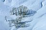 165: Aspen Grove in Snow, Iron County, Utah