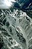 181: Aspen Ski Area, Pitkin County