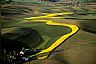 220: Morning, Palouse Hills , Palouse Hills, Washington