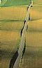 221: Farm Road, 