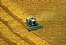 223: Wheat Harvent, Harper County, Kansas