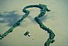 272: 1993 Midwest Flood, Missouri River, Near Jefferson City, Missouri