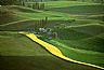 345: Morning, Palouse Hills, Southeastern Washington State