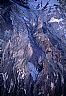 356: Origin of Earth, Mt. St Helens NP, Washington