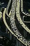 17578: Rush Hour Traffic, San Francisco Bay Area, California 17578: Rush Hour Traffic, San Francisco Bay Area, California