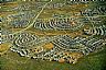 1206: Denver Suburb, Denver, Colorado