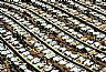 1284: Sun City, Suburb of Phoenix, Arizona