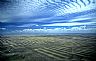 1466: Montana Wheat II, Toole County, Montana 1466: Montana Wheat II, Toole County, Montana