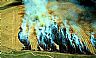 1469: Field Burning I, Near Agusta, Teton County Montana 1469: Field Burning I, Near Agusta, Teton County Montana