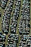 1476: Auto Junkyard, Helena, Montana 1476: Auto Junkyard, Helena, Montana