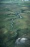 1637: Wetland, Cook Inlet, Alaska 1637: Wetland, Cook Inlet, Alaska