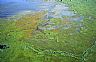 1641: Copper River Delta, Copper River, Alaska 1641: Copper River Delta, Copper River, Alaska