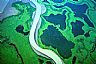 1643: Copper River Delta, Southeast Alaska 1643: Copper River Delta, Southeast Alaska