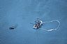 1673: Fishing Boat, Prince William Sound, Alaska 1673: Fishing Boat, Prince William Sound, Alaska