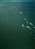 1675: Fishing Fleet, Kenai, Cook Inlet, Alaska 1675: Fishing Fleet, Kenai, Cook Inlet, Alaska