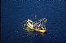 1689: Shrimp Boat, Baja California Sur 1689: Shrimp Boat, Baja California Sur