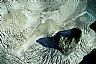 1742: Glacier Pinacle, Wind River Mountains, Wyoming 1742: Glacier Pinacle, Wind River Mountains, Wyoming