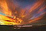 1755: Husky Sunset, Afton, Wyoming 1755: Husky Sunset, Afton, Wyoming