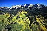 1803: Beckwith Mountain, Gunnison County, Colorado 1803: Beckwith Mountain, Gunnison County, Colorado