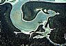 2098: Ancient Spirit, San Luis Obispo County, California 2098: Ancient Spirit, San Luis Obispo County, California