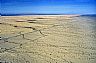 2208: Algodones Dunes, East of El Centro, California