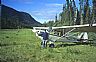 2260: Husky @ Brookland's Camp, Lake Taku, British Columbia 2260: Husky @ Brookland's Camp, Lake Taku, British Columbia