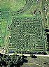 2389: Corn Maze, Littleton, Colorado 2389: Corn Maze, Littleton, Colorado