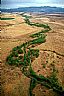 2393: San Pedro River, Cochise County, Arizona 2393: San Pedro River, Cochise County, Arizona
