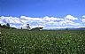 2422: Memaloosee Airstrip, Wallowa County, Oregon 2422: Memaloosee Airstrip, Wallowa County, Oregon