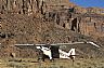 2423: Dirty Devil Airstrip, Wayne County, Utah 2423: Dirty Devil Airstrip, Wayne County, Utah