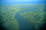 3308: Hog Island Bay, Hog Island, Virginia