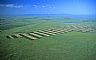 4017: Wheat Field, Glacier County, Montana 4017: Wheat Field, Glacier County, Montana