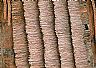 4021: Saw Logs, Prince George, British Columbia 4021: Saw Logs, Prince George, British Columbia