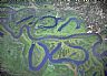 4023: Meanders, North of Lac La Biche, Alberta 4023: Meanders, North of Lac La Biche, Alberta