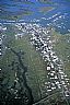 4249: Tangier Island, Chesapeake Bay, Virginia 4249: Tangier Island, Chesapeake Bay, Virginia