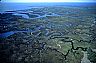 4421: Gulf Coast Wetland, Apalachacola, Florida 4421: Gulf Coast Wetland, Apalachacola, Florida