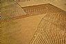 4458: Wheat Harvest, Anthony, Kansas 4458: Wheat Harvest, Anthony, Kansas